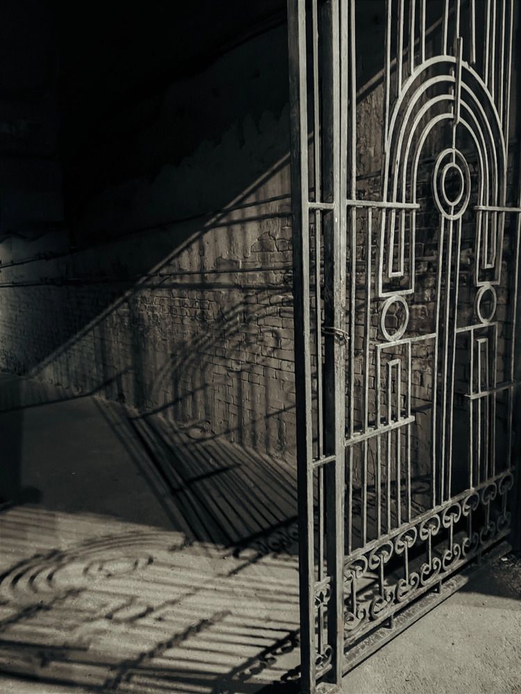 Photograph by Ольга Калинник