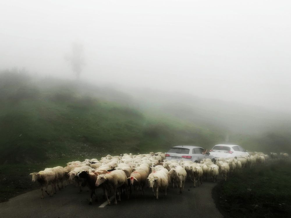 Photograph by Inna Burdikova