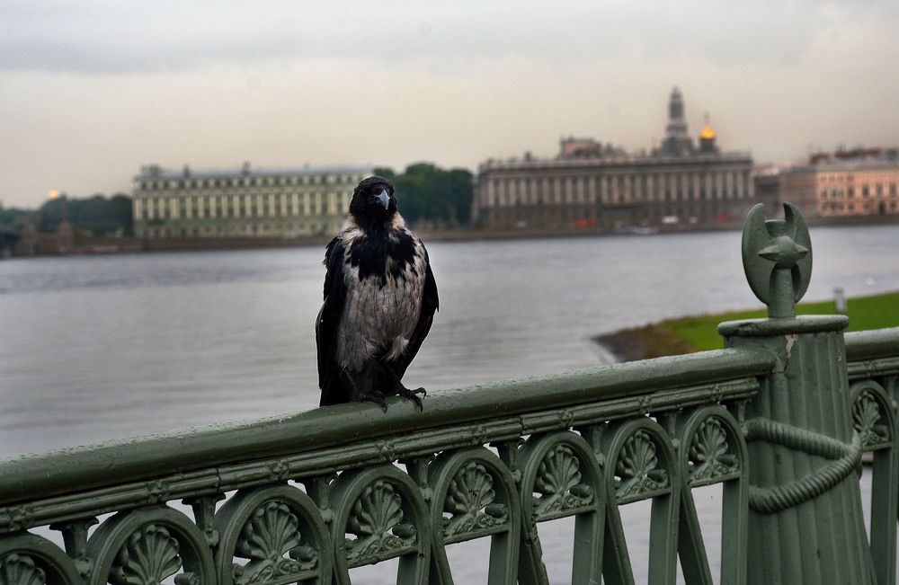 Photograph by Валерий Баранчиков