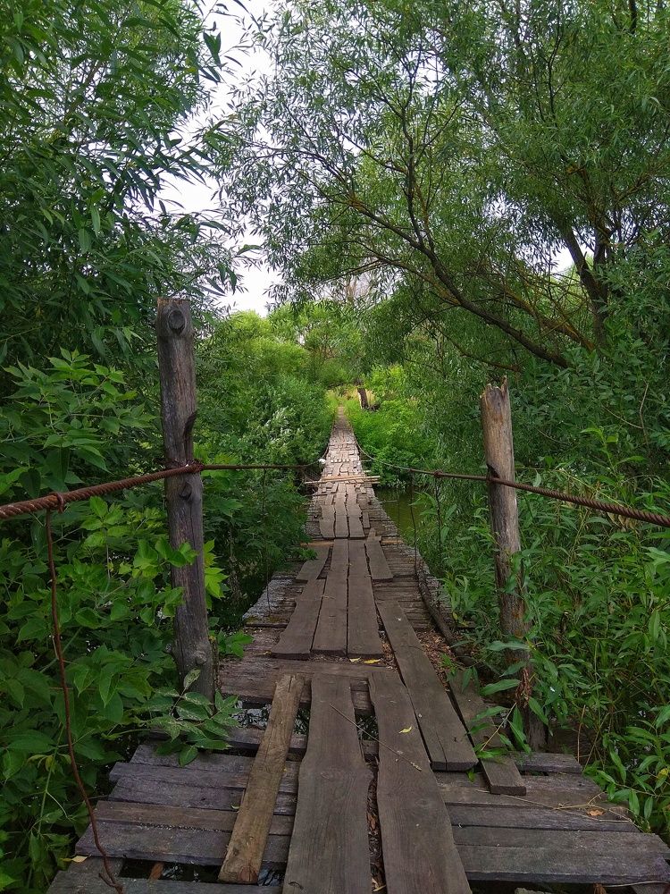 Photograph by Анна Богданова