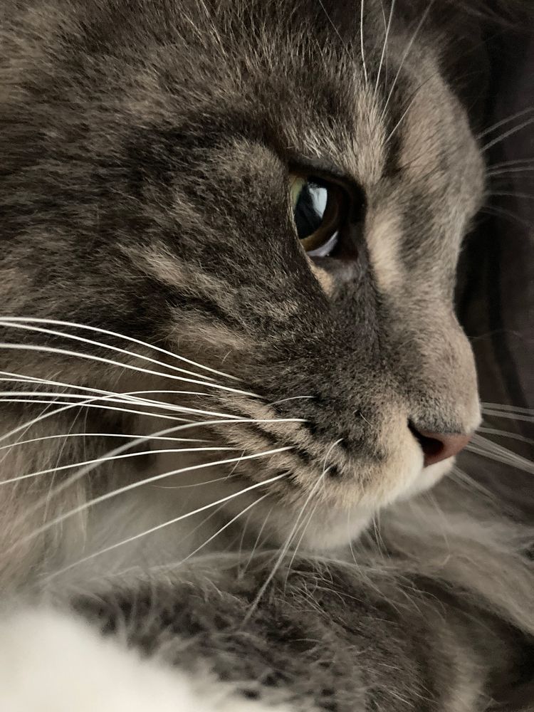 Фотография автора Ольга Банщикова