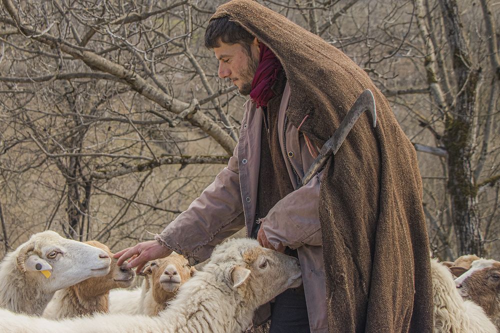 Photograph by Mahdi vagahri shorche