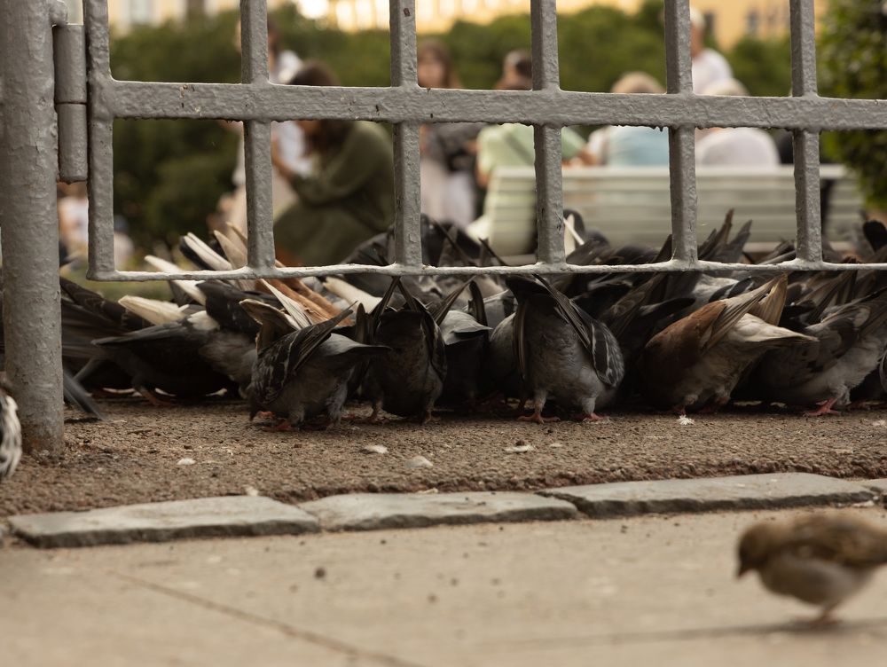 Photograph by Наталья Булава