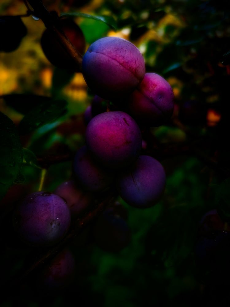 Photograph by Светлана Перминова