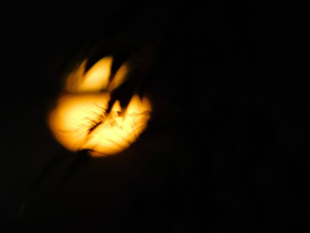 Photograph by Aliaksei Sauko