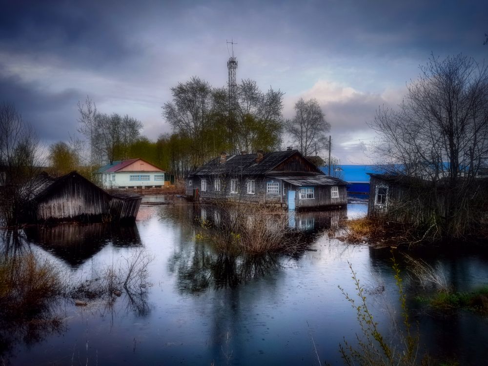 Photograph by Светлана Перминова