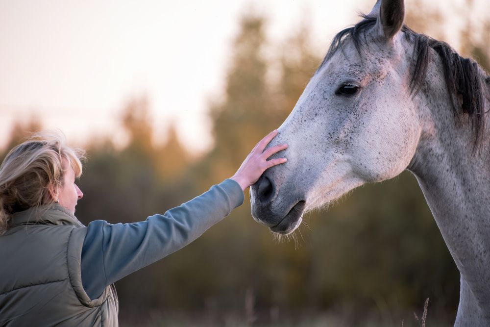 Фотография автора Ольга Фомичева