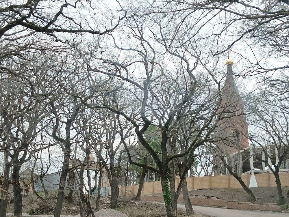 Топловский монастырь