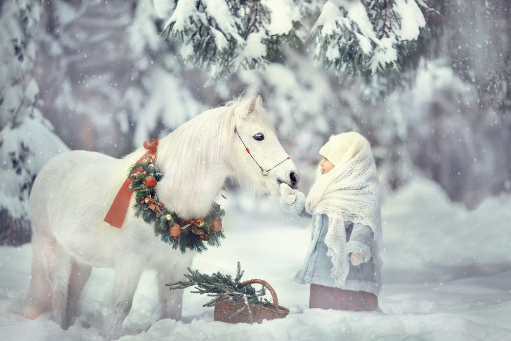 Photograph by Светлана Лютько