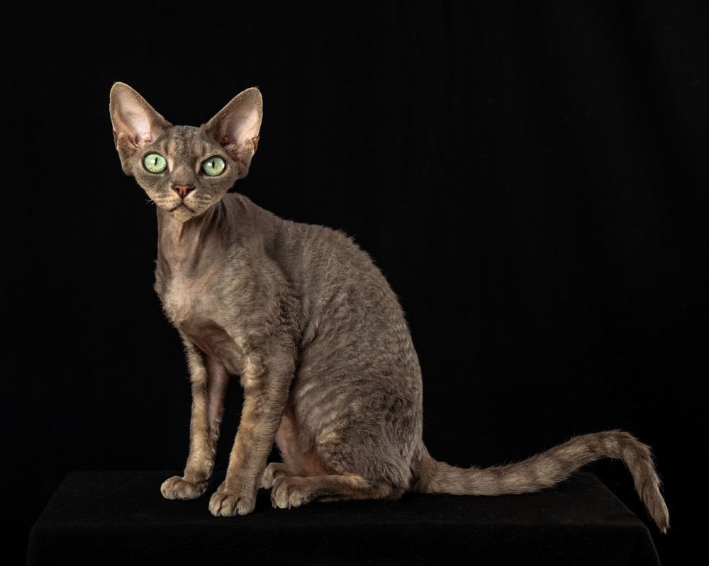 Photograph by Acrement Valentina