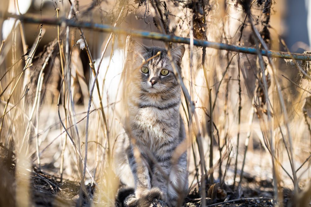 Photograph by Андрей Хозяев