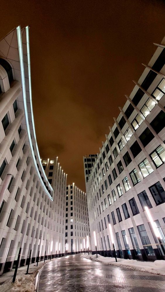 Фотография автора Светлана Зимина