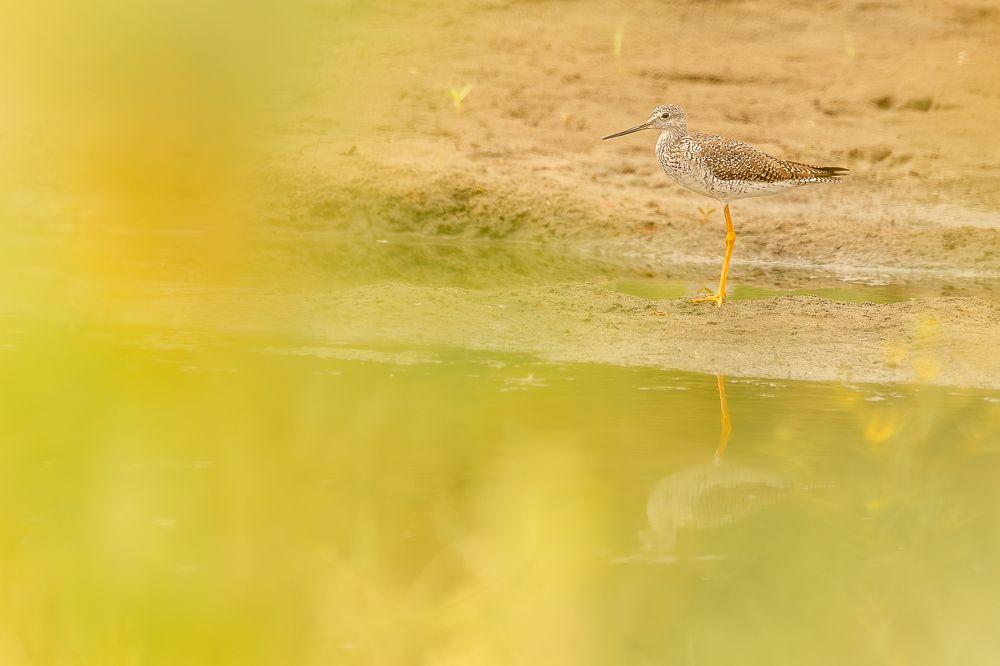 Photograph by Heiler Uribe