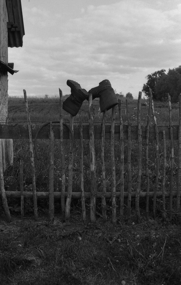 Photograph by Светлана Иревлина