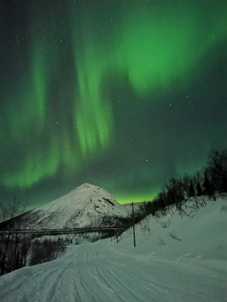 Northern lights