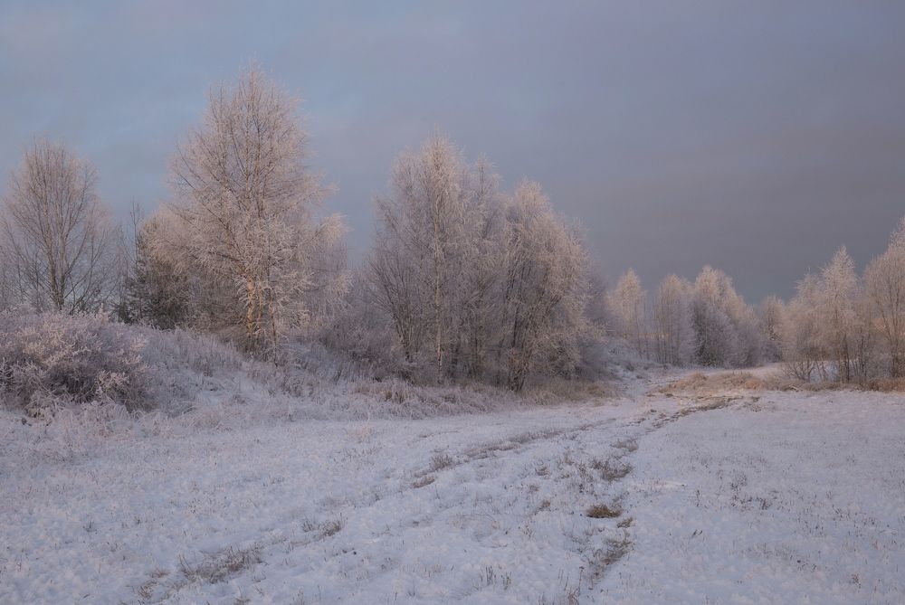 Photograph by Елена Хорохорина