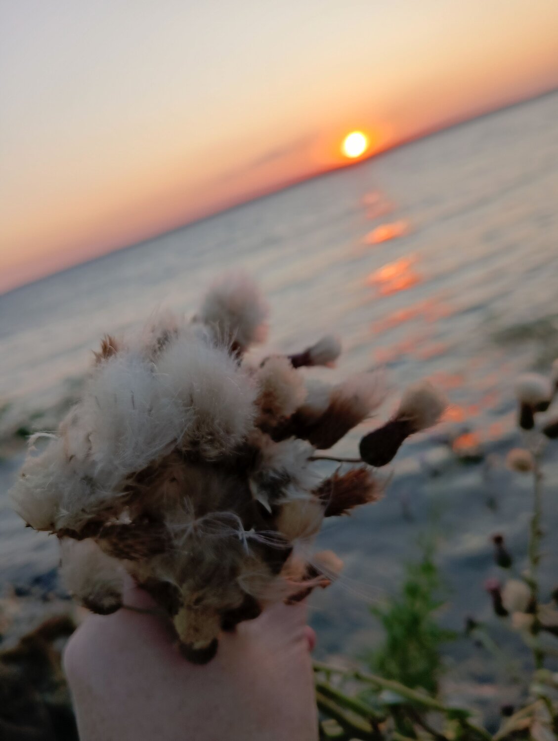 Photo #10422021