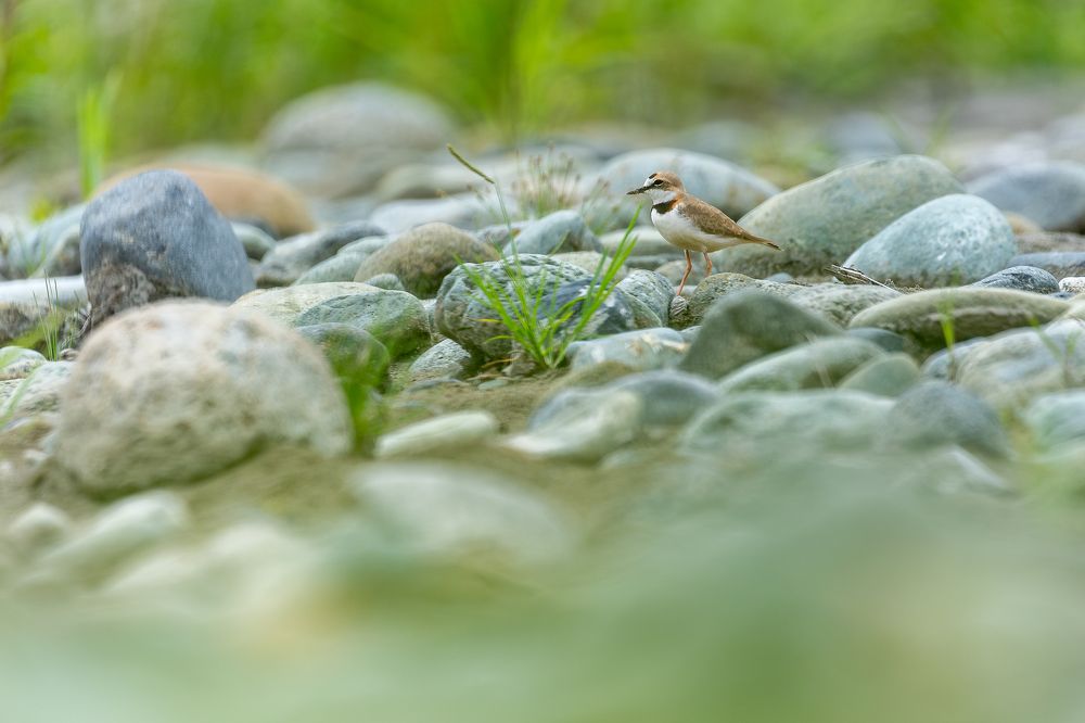 Photograph by Heiler Uribe