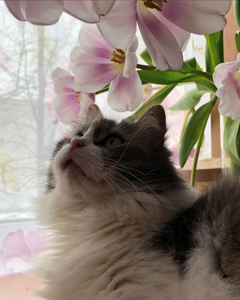 Photograph by Габрусева Анастасия