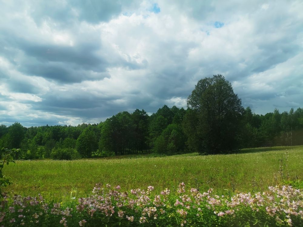 Photograph by Екатерина Борисовна Кузьмина