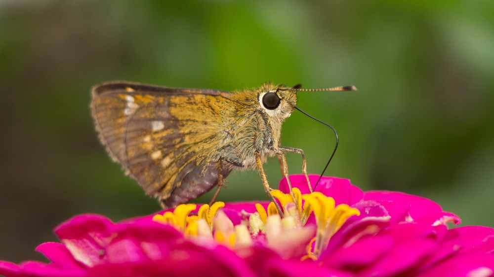 Photograph by Ilya Ovcharenko