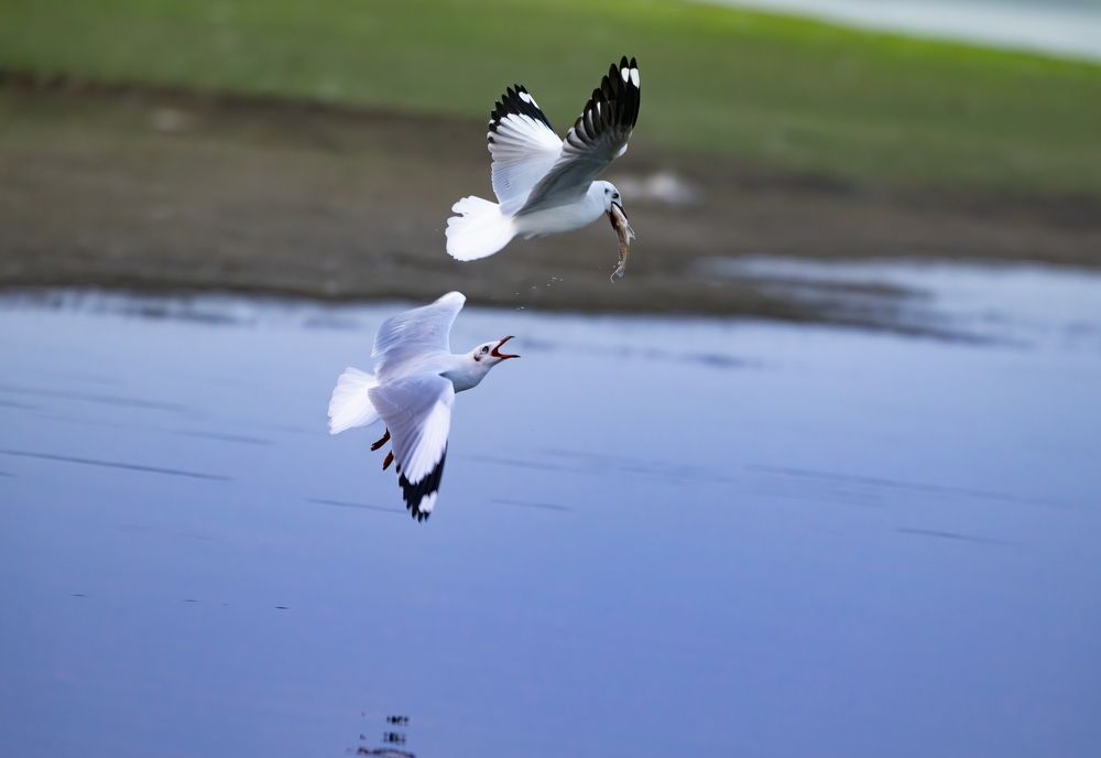 Photograph by Sapan Sanghani