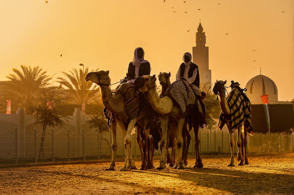 Photograph by mohanan oruvayalil