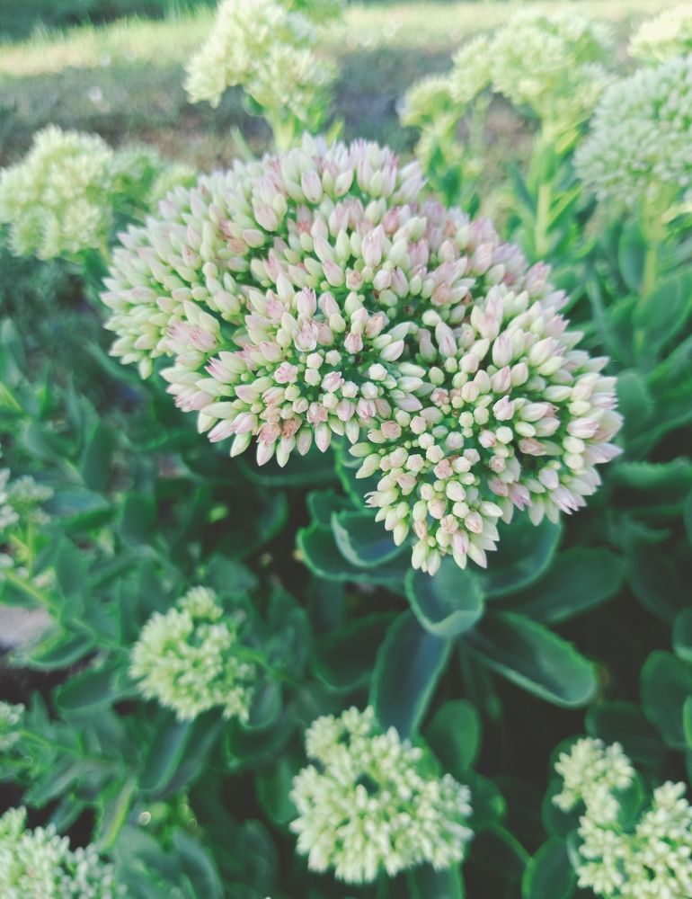 Photograph by Лилия Потравнова