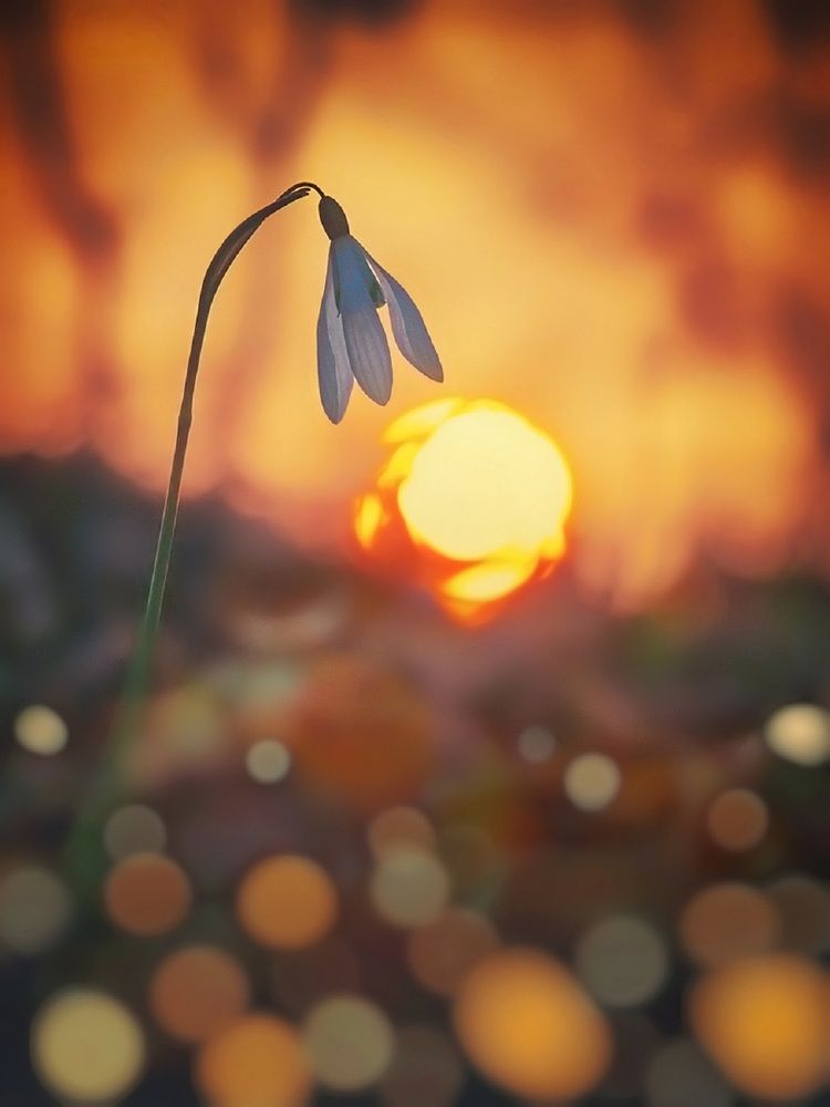 Photograph by Владимир