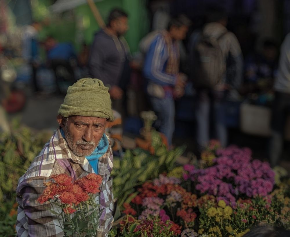 Photograph by Arkodeep Roy