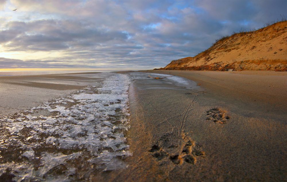 Photograph by Владимир Петрукович