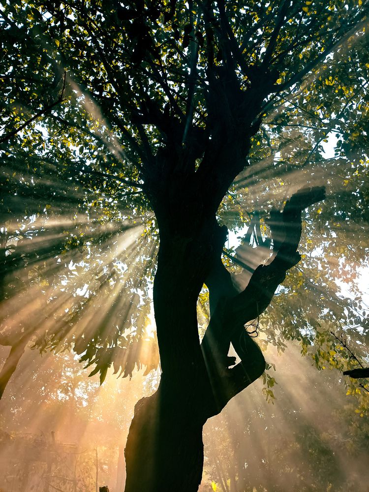Beams of Light