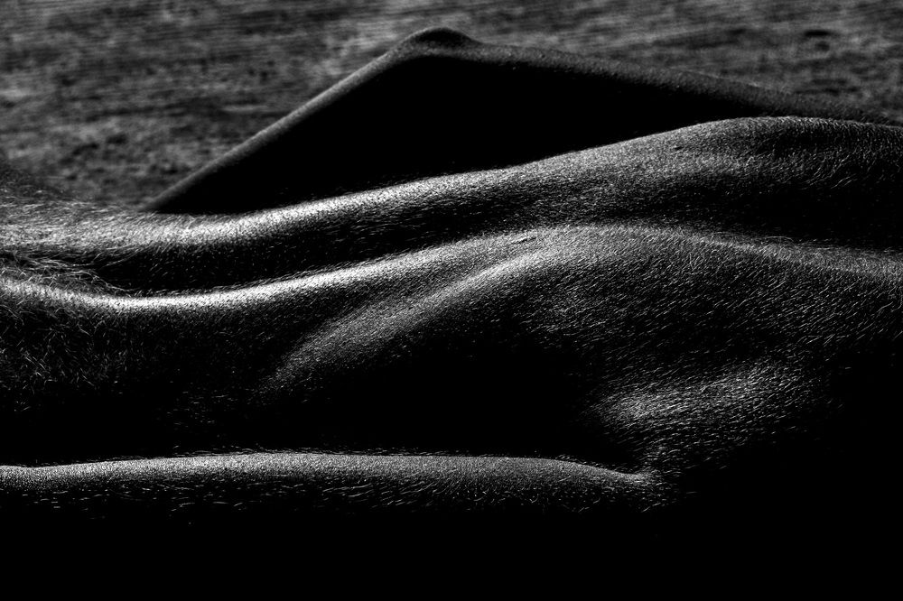 Фотография автора Дмитрий Фроленков