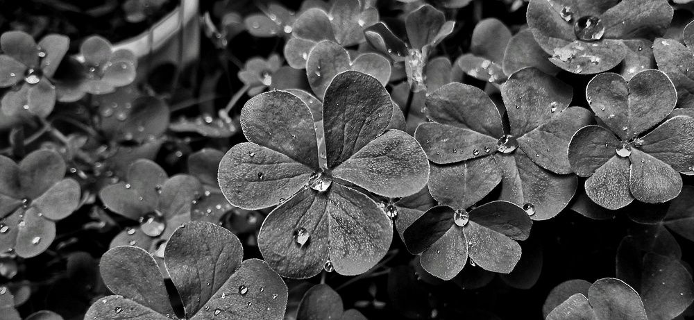 Фотография автора Mahdi Mohammadi