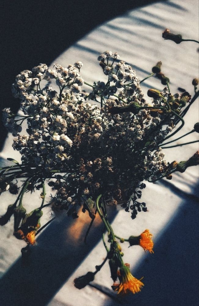 Photograph by Анна Швецова