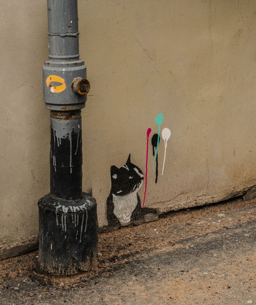 Photograph by Ирина Виноградова