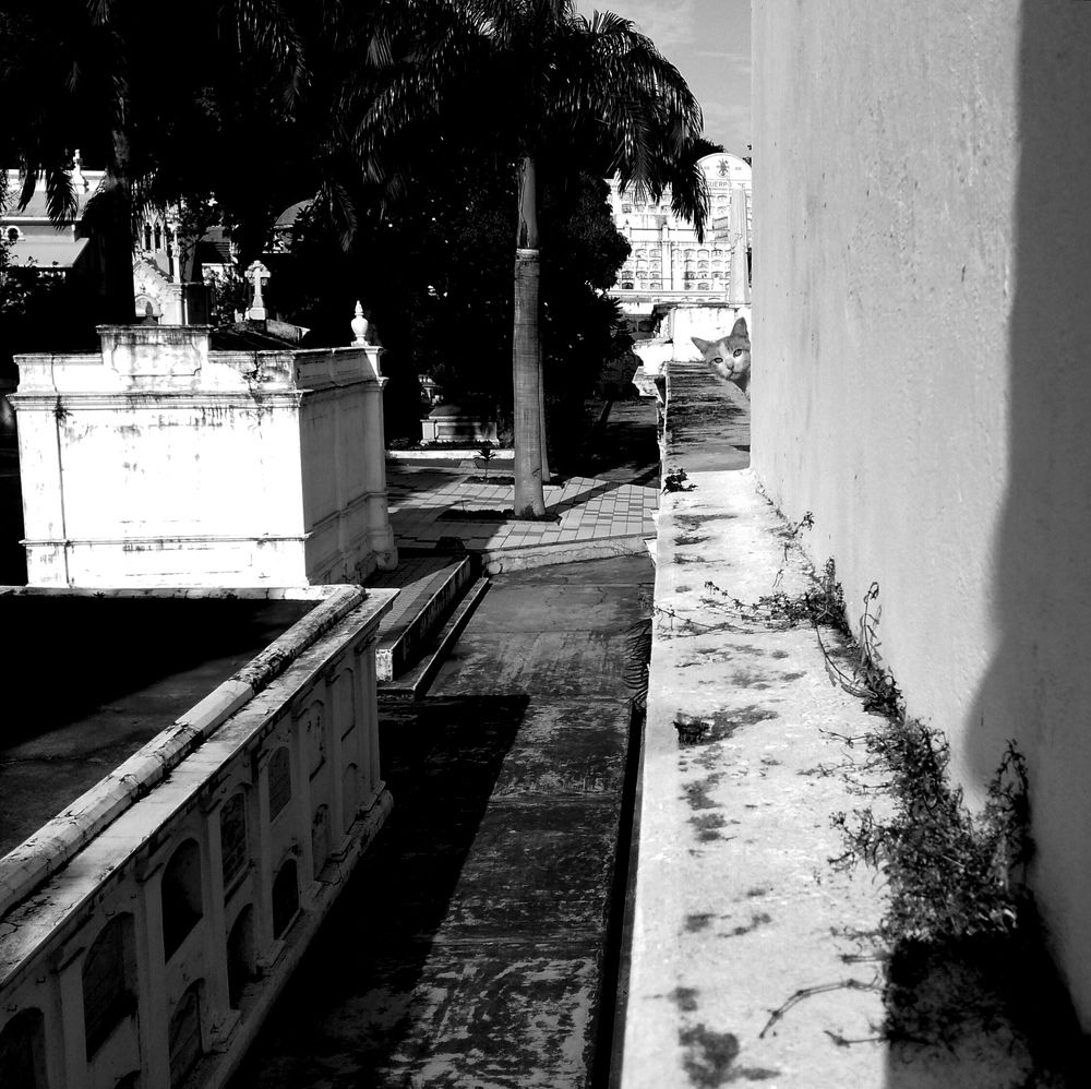 Photograph by Daniel Catagua