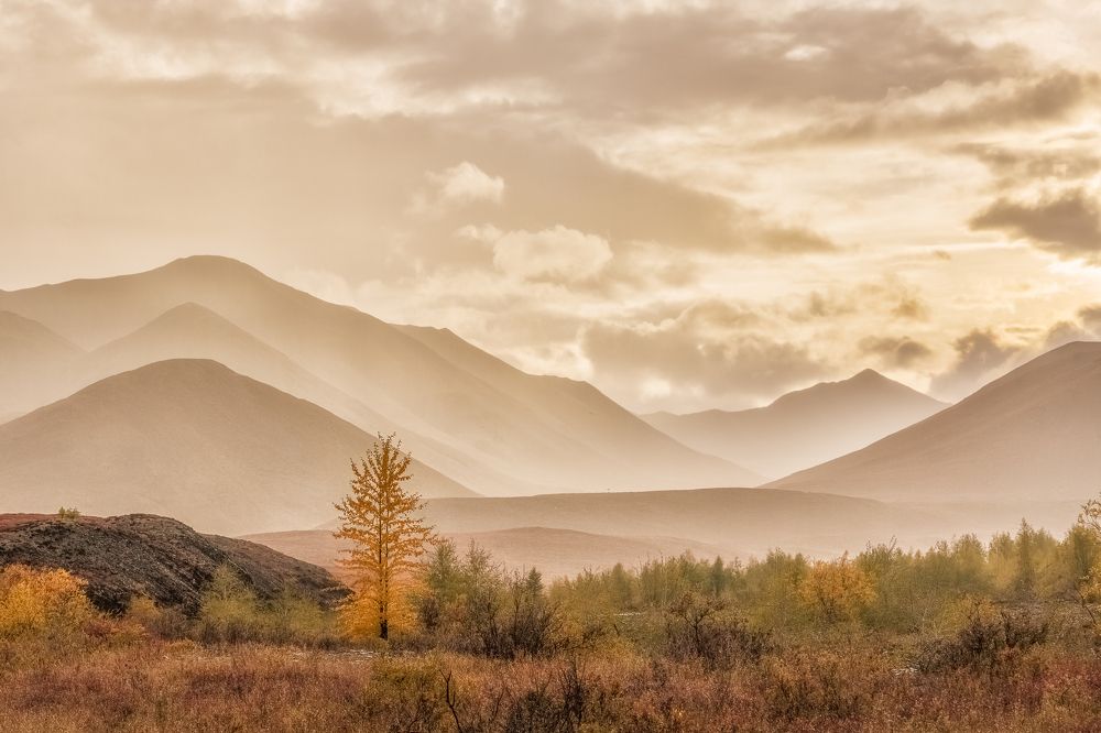 Photograph by Полякова Наталия