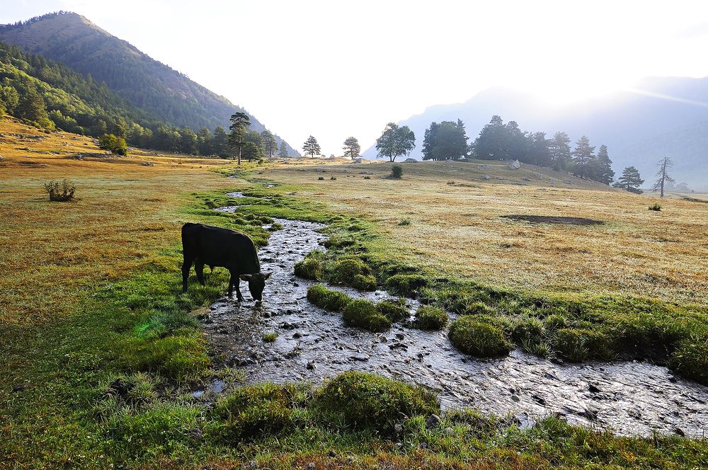 Photograph by Сергей Калинин