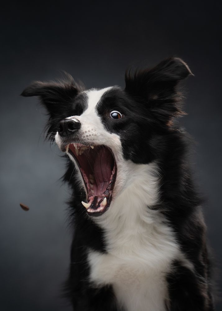 Photograph by Валерия Капитонова