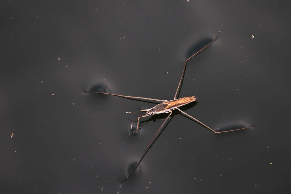 Photograph by Дмитрий Солодухин