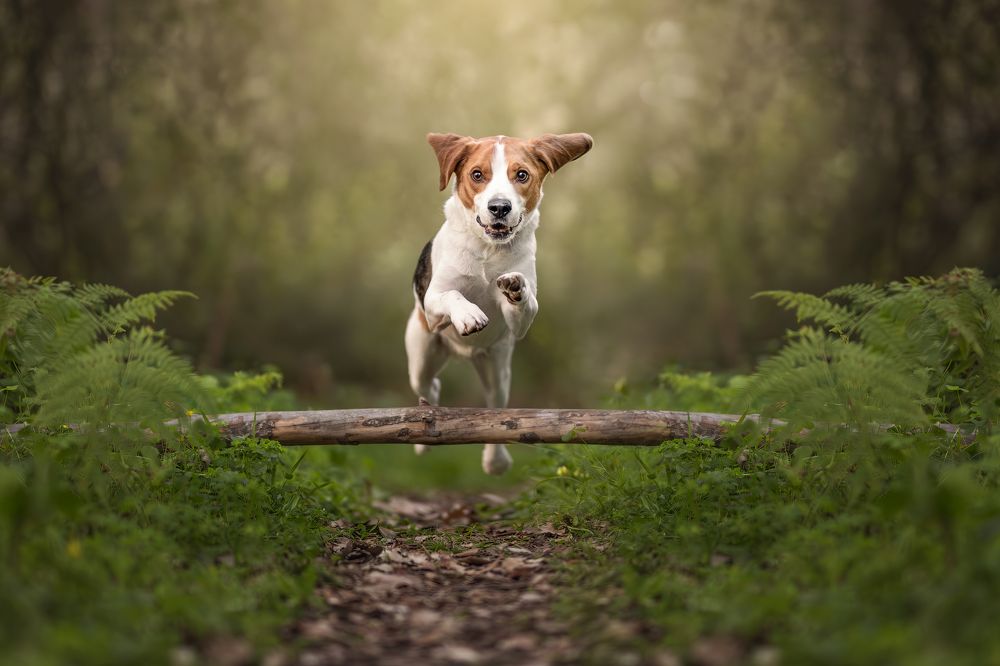 Photograph by Leticia Hernandez