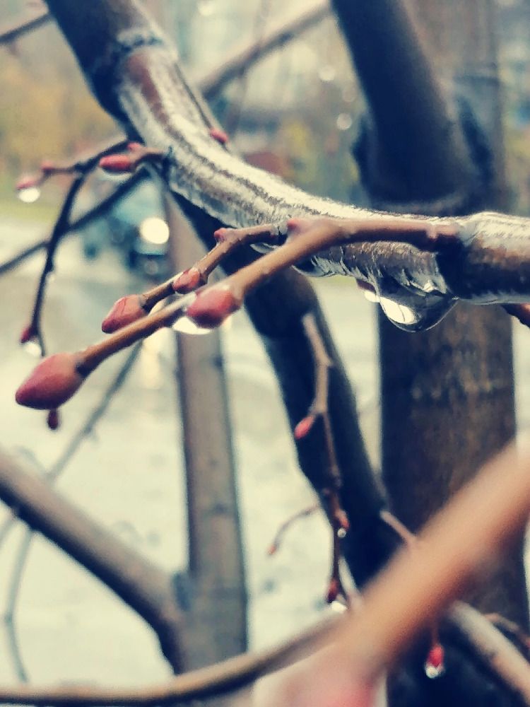 Photograph by Ольга Калинник