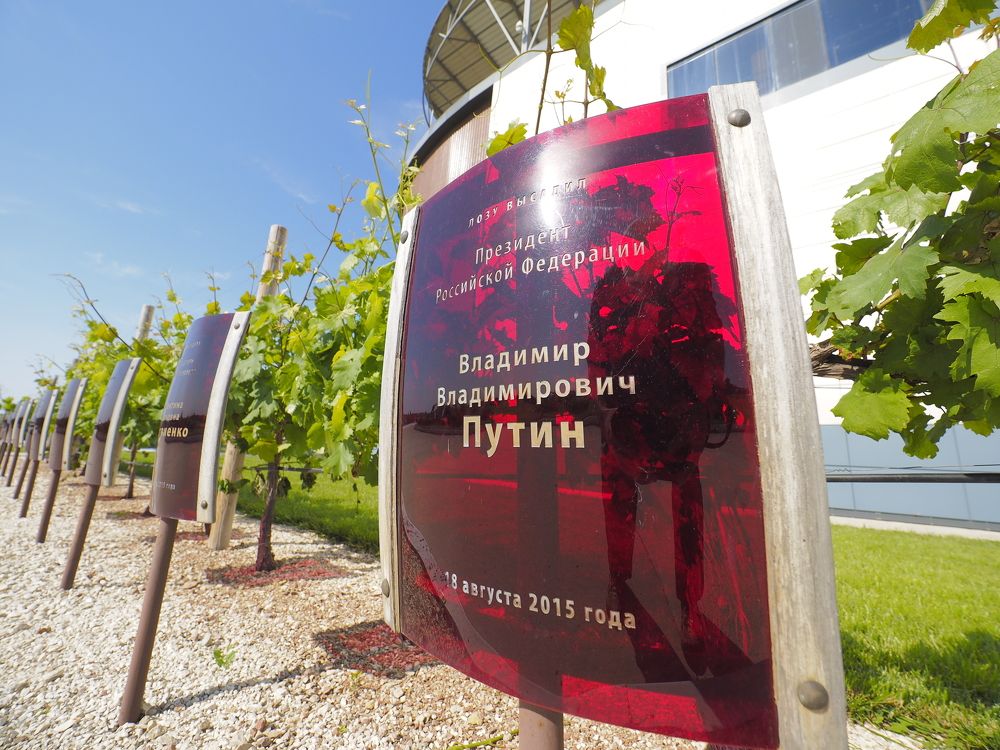 Photograph by Дмитрий Потапов