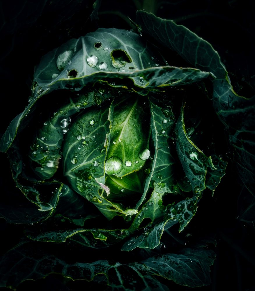 Photograph by Светлана Перминова