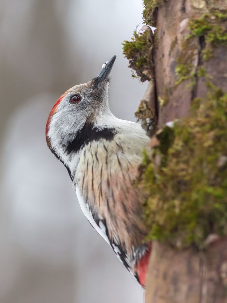 Photograph by Денис Пронин