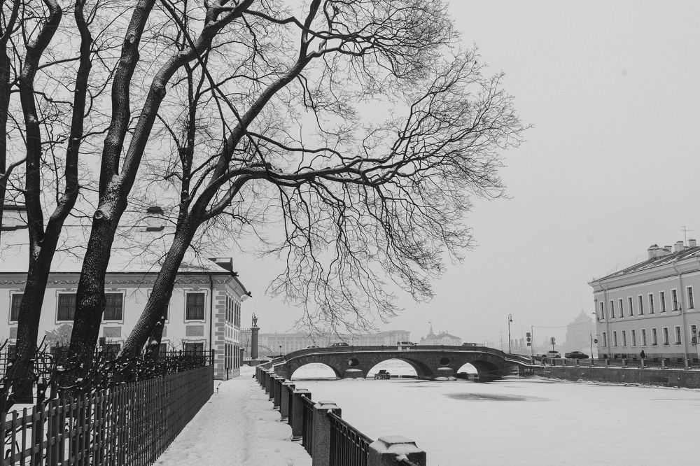 Photograph by Семенова Ольга