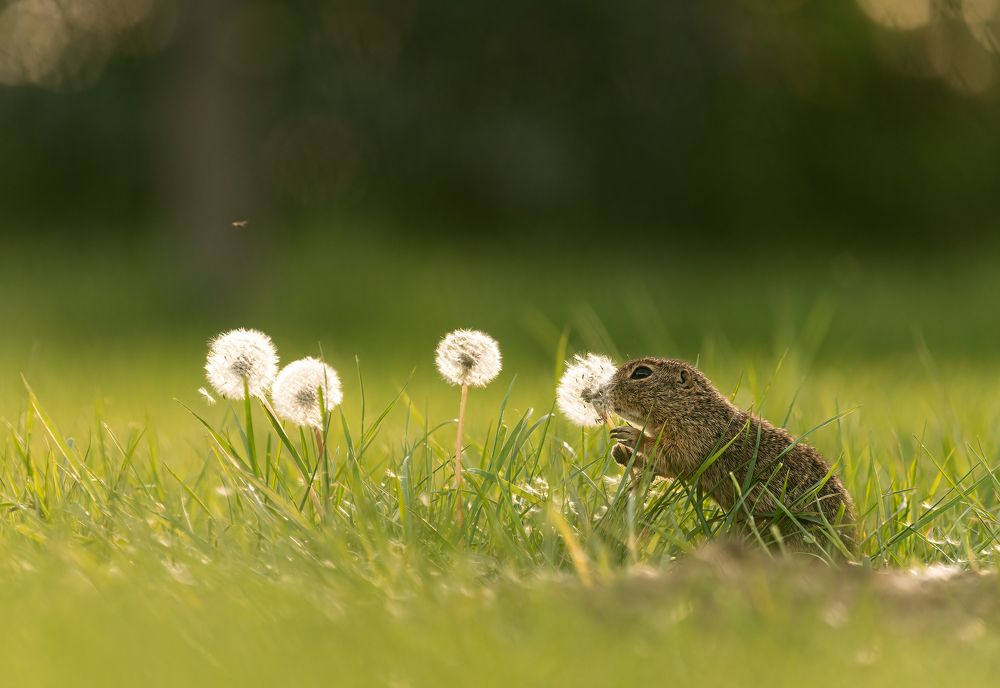 Photograph by Tímea Ambrus