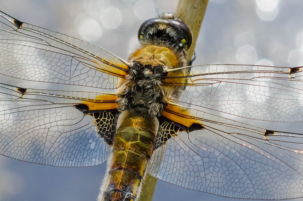 Photograph by Николай Головко