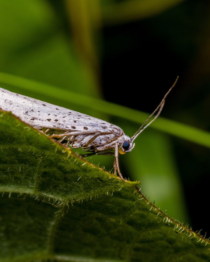 Photograph by Николай Головко
